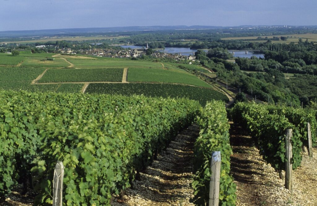 domaine seguin pouilly sur loire